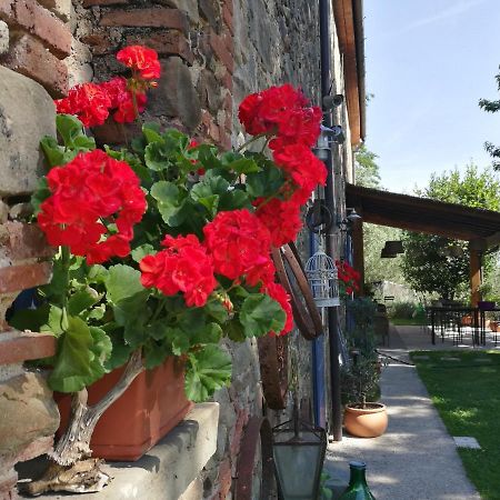 Agriturismo Tananei Marliana Eksteriør bilde