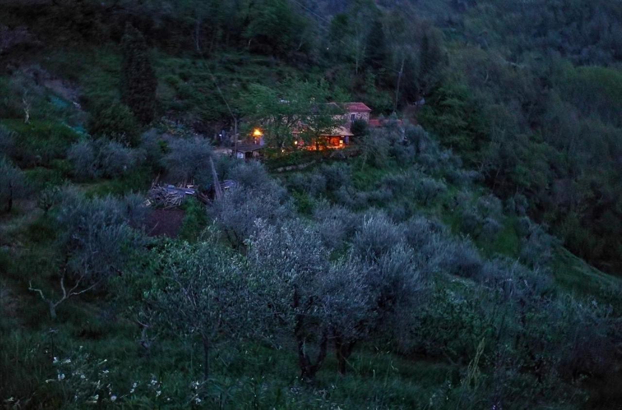 Agriturismo Tananei Marliana Eksteriør bilde