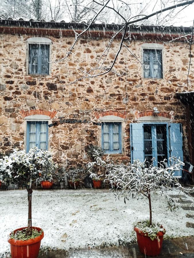 Agriturismo Tananei Marliana Eksteriør bilde