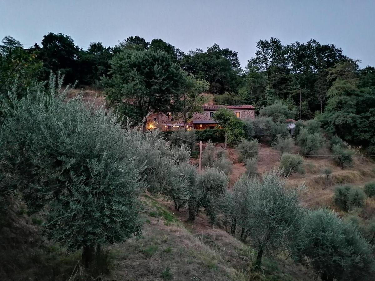 Agriturismo Tananei Marliana Eksteriør bilde
