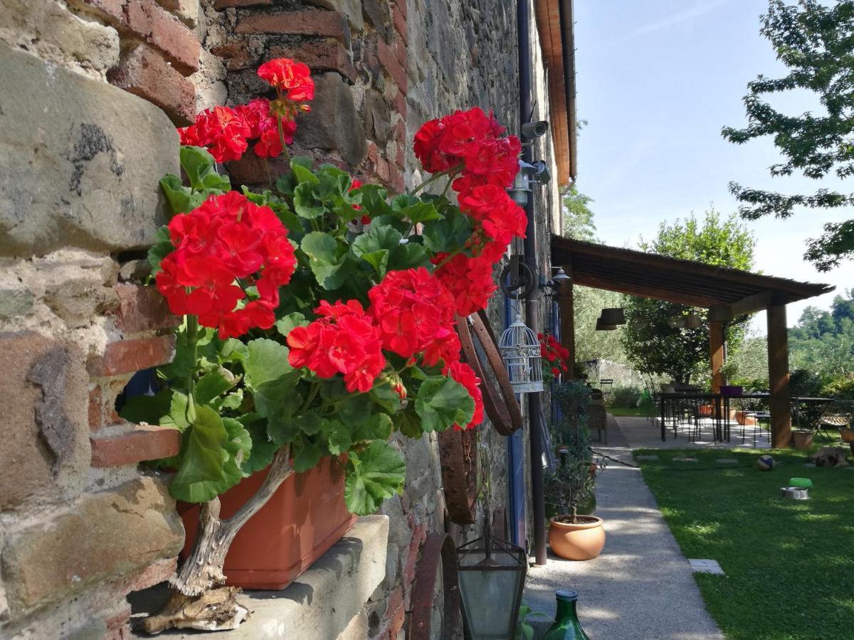 Agriturismo Tananei Marliana Eksteriør bilde