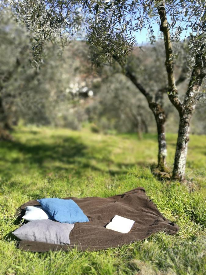Agriturismo Tananei Marliana Eksteriør bilde