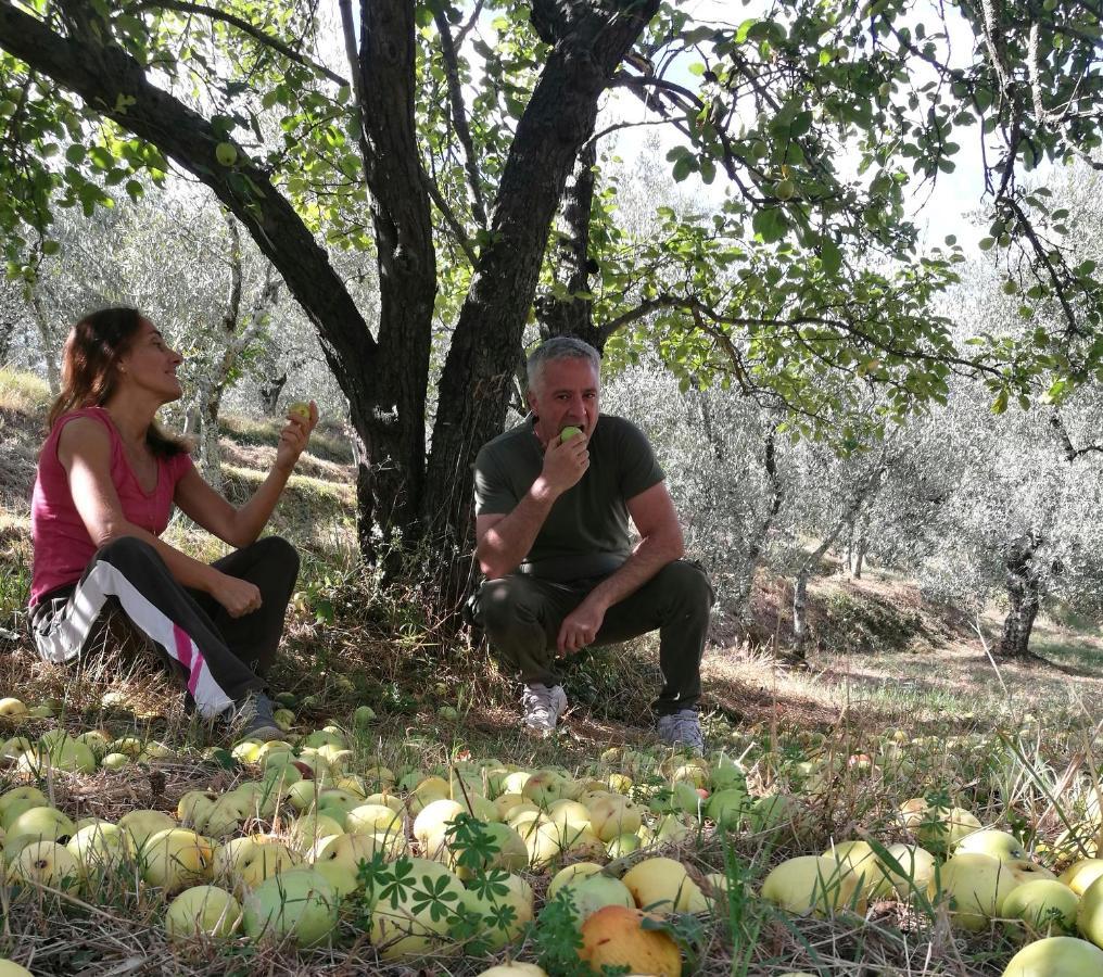 Agriturismo Tananei Marliana Eksteriør bilde